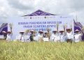 Fokus Ketahanan Pangan, GPIPS Jadi Strategi Baru Jaga Inflasi Nasional