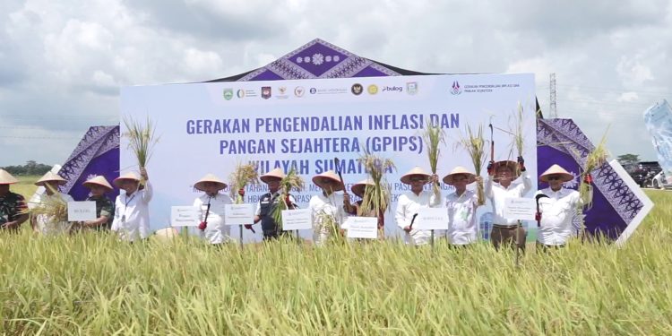 Fokus Ketahanan Pangan, GPIPS Jadi Strategi Baru Jaga Inflasi Nasional