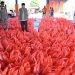 Pemkab Aceh Besar Salurkan Daging Bantuan Presiden untuk 905 KK Korban Banjir