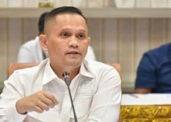 Dek Gam Kritik Polda Aceh Terkait Pemanggilan Wartawan Bithe.co: Hormati UU Pers