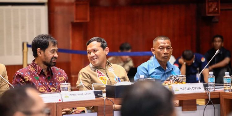 ‎Mualem Minta Otsus Abadi 2,5 Persen di Hadapan Banleg DPR RI pada Rapat Perubahan UUPA