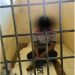 Modus Palak Wisatawan di Bukit Lamreh Terbongkar, Polisi Ringkus Satu Pelaku, Dua Buron