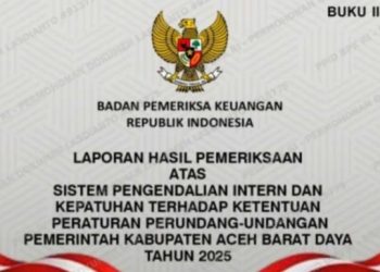 BPK Temukan Rp328 Juta Tagihan Hotel Fiktif di Abdya, Sekwan DPRK Dominasi Temuan
