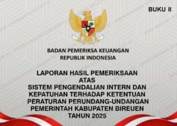 Raih WTP, Pemkab Bireuen Tetap Ditegur BPK soal PAD, Dana BOSP dan Pengelolaan Aset
