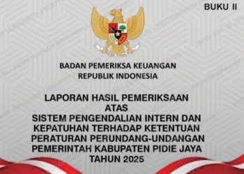 Di Balik Opini WTP, BPK Catat Beban Tagihan Belanja Rp95,76 Miliar di Pidie Jaya