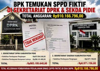 BPK Bongkar SPPD dan Bill Hotel Fiktif di Pidie, Rp910 Juta Harus Dikembalikan