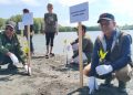 LSM Seulanga Aceh Pimpin Gerakan Tanam 1.000 Mangrove di Pesisir Banda Aceh