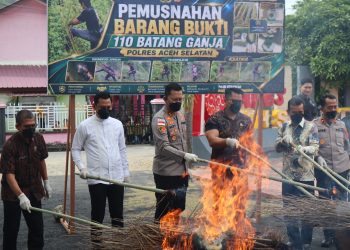 Musnahkan Barang Bukti Ganja, Kapolres Aceh Selatan Tegaskan Komitmen Berantas Narkotika