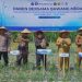 BI Aceh Panen Perdana Bawang Merah di Lahan Pascabanjir Pidie Jaya, Jadi Model Pemulihan Ekonomi Petani