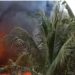 Sumur Minyak Ilegal Aceh Timur Terbakar, Ratusan Titik Pengeboran Tradisional Disorot