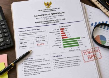 BPK Sorot Pajak Daerah Aceh Selatan, Target Rp48,5 Miliar Hanya Tercapai 53 Persen