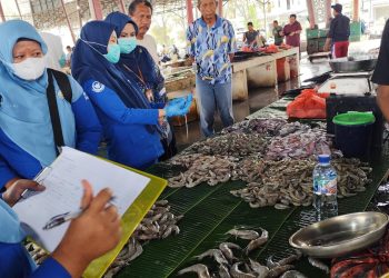 BBPOM Aceh dan BPPMHKP Perketat Pengawasan Pangan di Pasar Banda Aceh