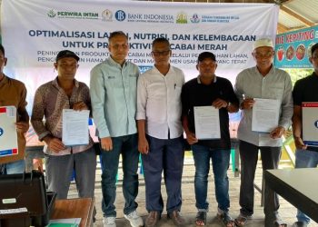 BI Aceh Perkuat Klaster Petani Cabai di Aceh Barat, Dorong Pasokan dan Kendalikan Inflasi