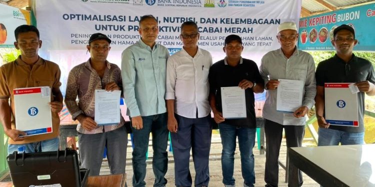 BI Aceh Perkuat Klaster Petani Cabai di Aceh Barat, Dorong Pasokan dan Kendalikan Inflasi