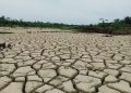Petani Mengadu, 16.276 Hektare Sawah Rusak Berat Masih Menunggu Rehabilitasi