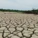 Petani Mengadu, 16.276 Hektare Sawah Rusak Berat Masih Menunggu Rehabilitasi